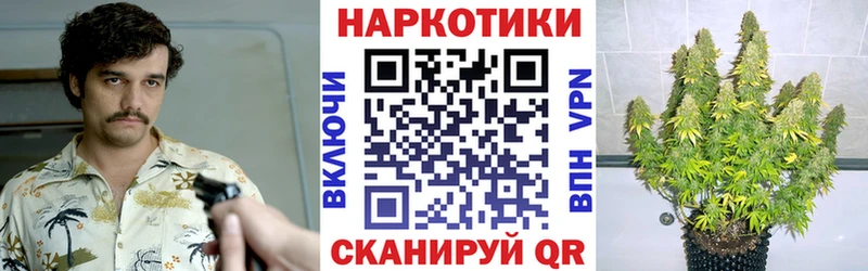 Псилоцибиновые грибы Тбилисская