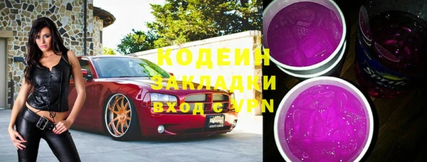 шишки Вяземский