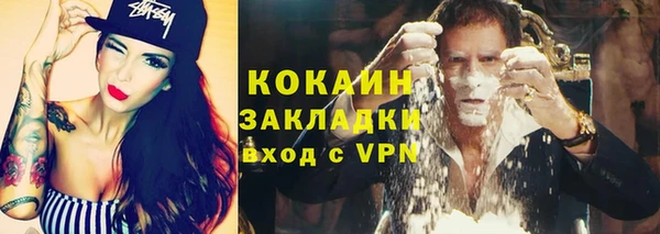 шишки Вяземский