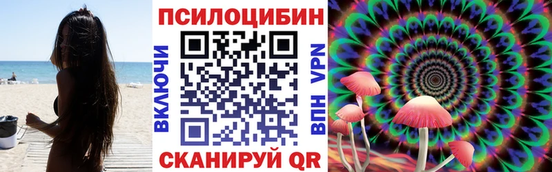 Псилоцибиновые грибы Cubensis Купить Тбилисская